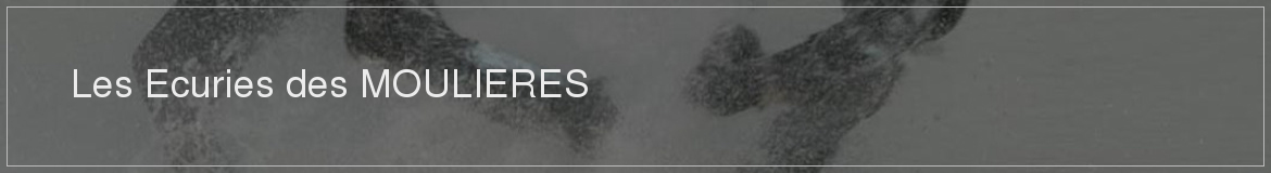 Les Ecuries des MOULIERES
